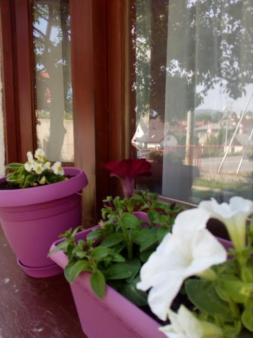 Guest House Olbina Korenica Esterno foto