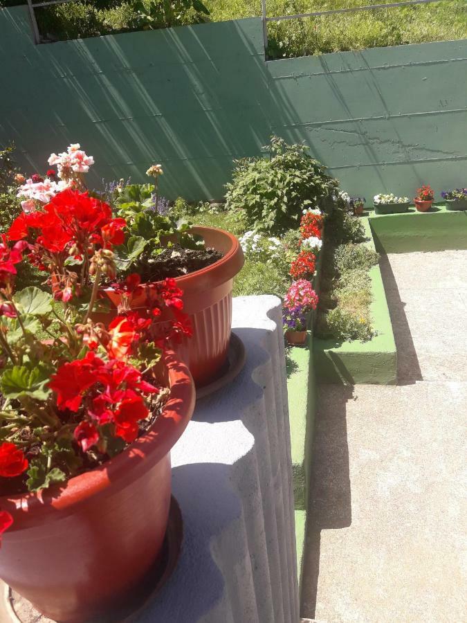Guest House Olbina Korenica Esterno foto